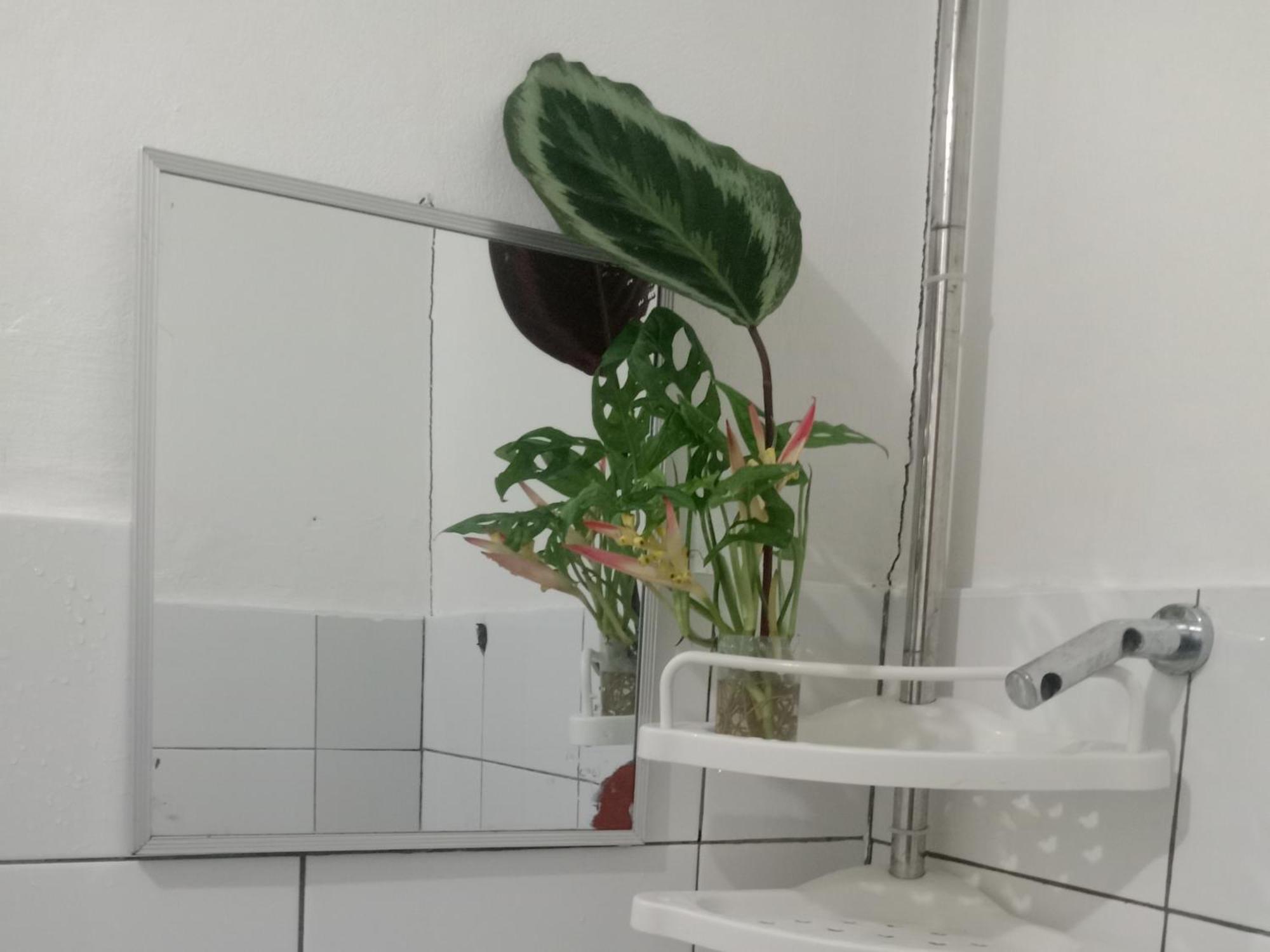 Vincent Lloyd'S Guestroom Сан-Висенте Номер фото